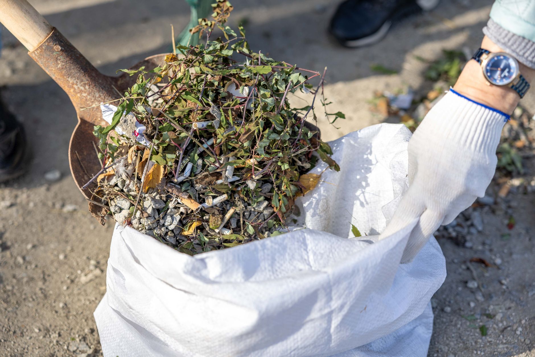 Yard waste debris removal